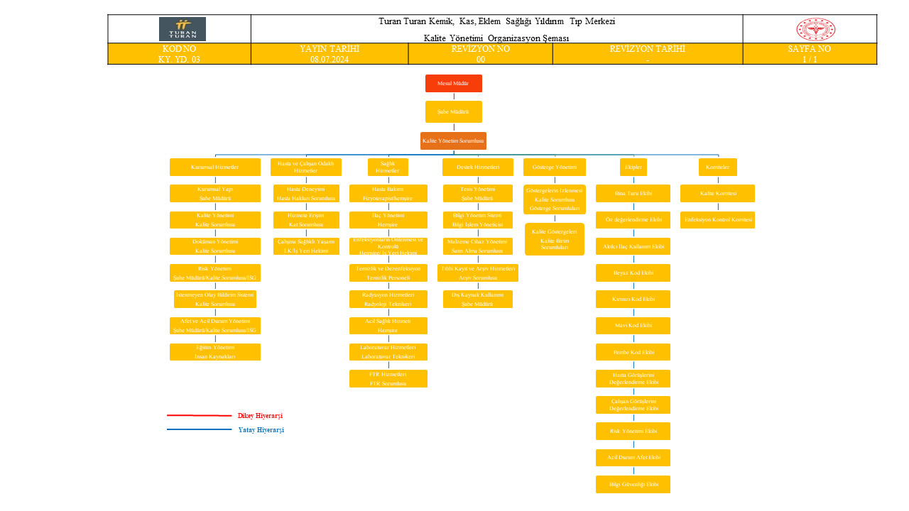 organizasyon şeması